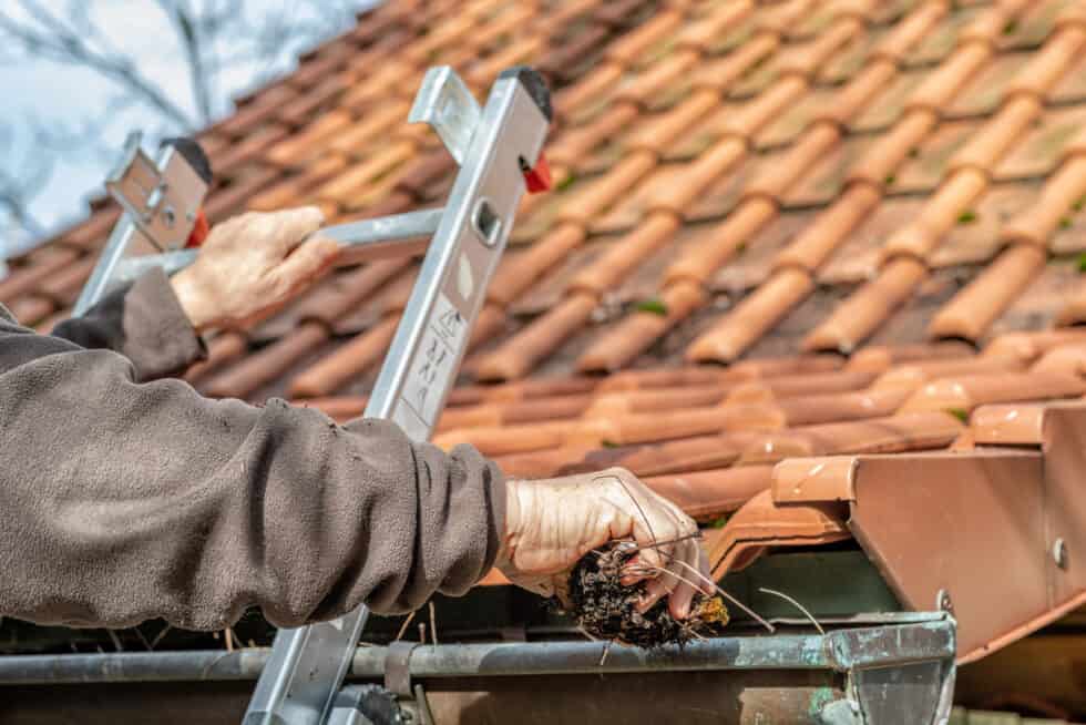 Cleaning Gutters